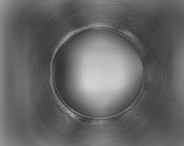 X0000056361286200509021738