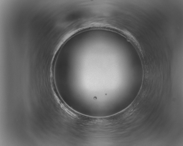 X0000056361287200509021738