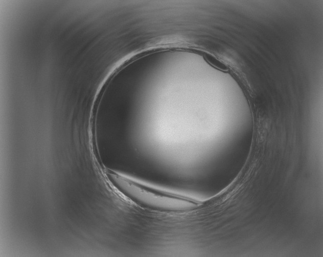 X0000056361288200509021738