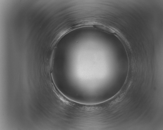 X0000056361289200509021738