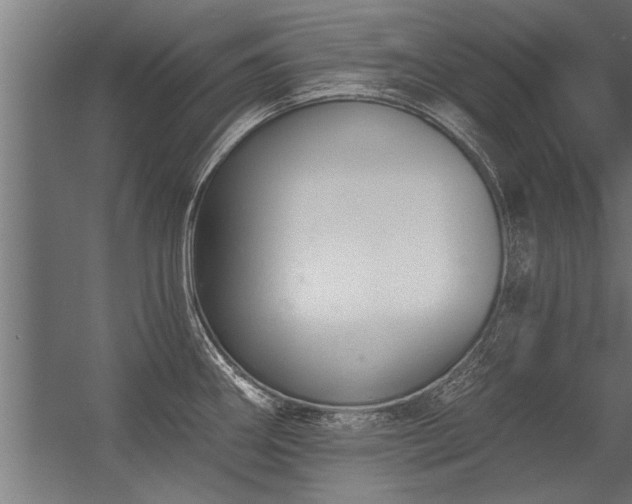 X0000056361290200509021738