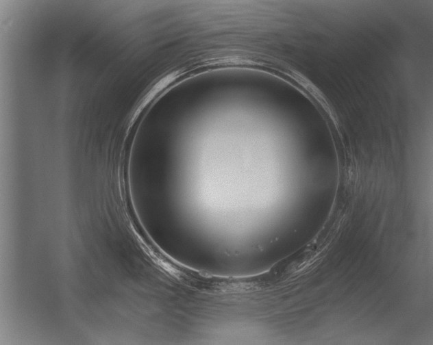 X0000056361293200509021738