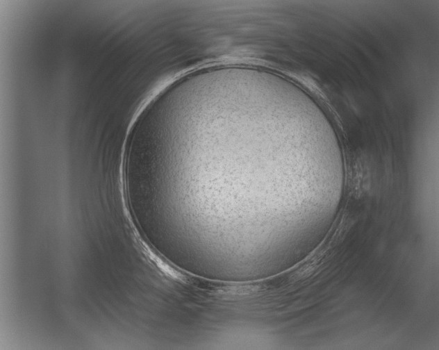 X0000056361294200509021738