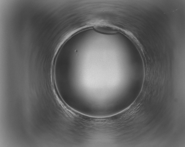 X0000056361295200509021738