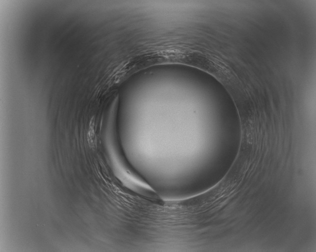 X0000056361298200509021737