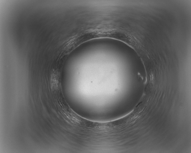 X0000056361300200509021737