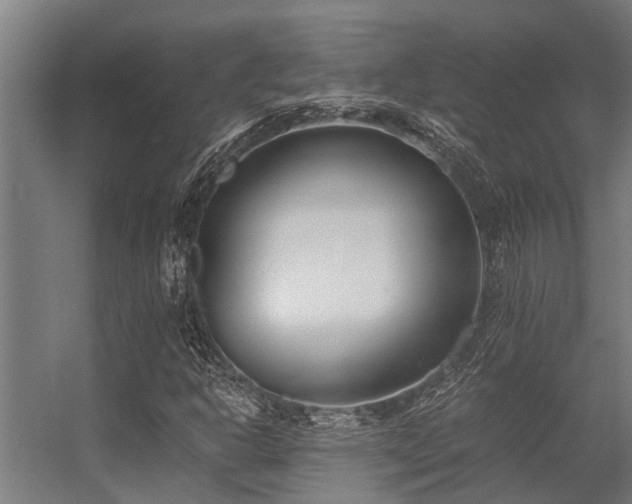 X0000056361302200509021737