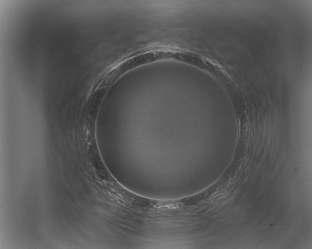 X0000056361303200509021737