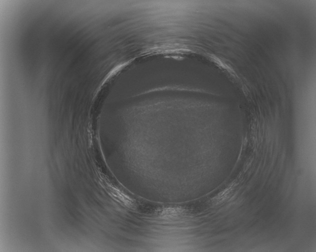 X0000056361306200509021737