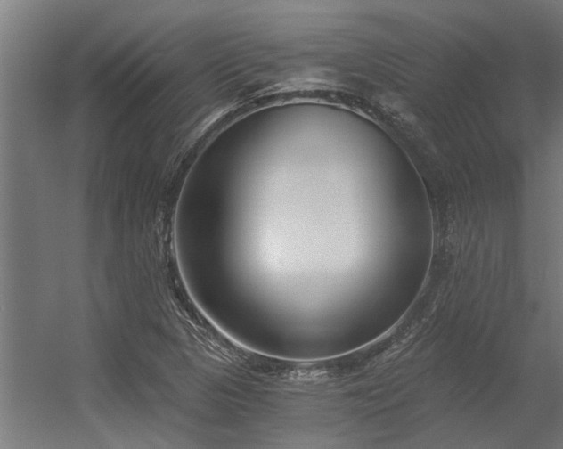 X0000056361313200509021737