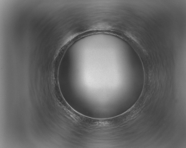 X0000056361315200509021738