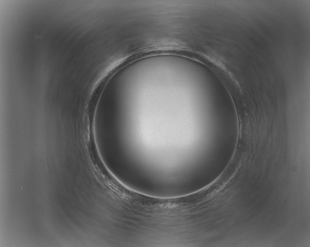 X0000056361317200509021738