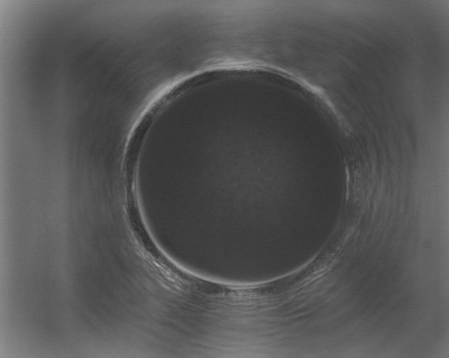 X0000056361319200509021738