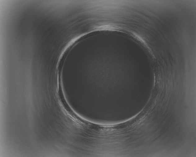 X0000056361323200509021738