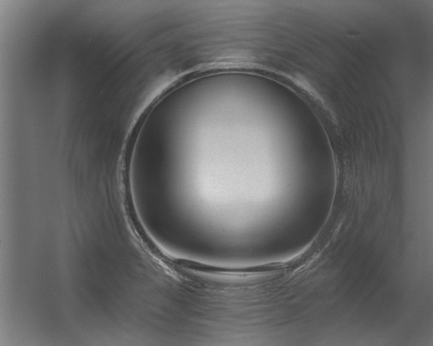 X0000056361325200509021738