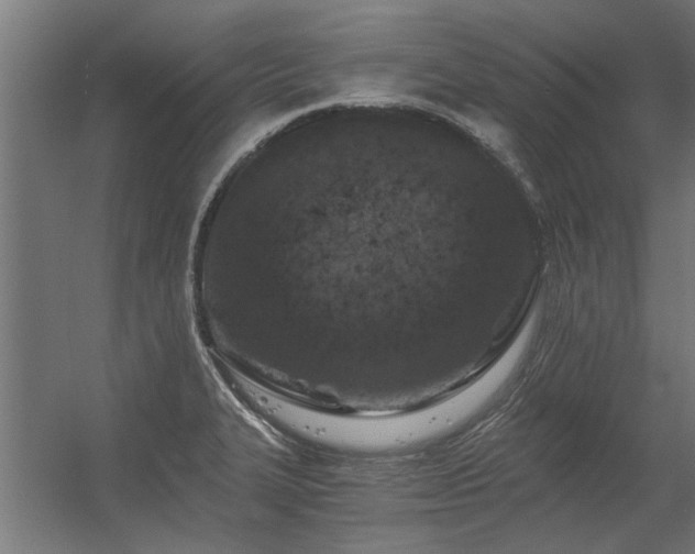 X0000056361327200509021738