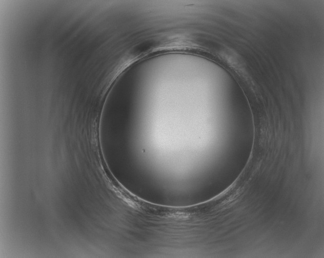 X0000056361329200509021738