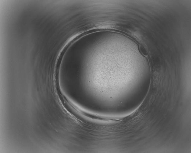 X0000056361331200509021738