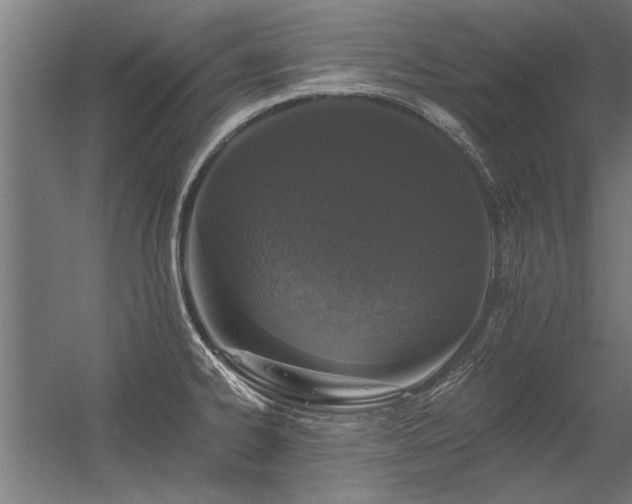 X0000056361334200509021738