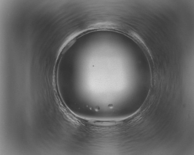 X0000056361336200509021738