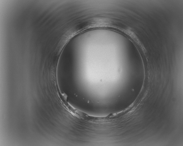 X0000056361337200509021738