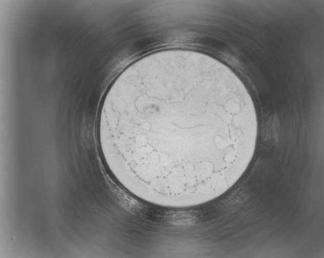 X0000056361338200509021738