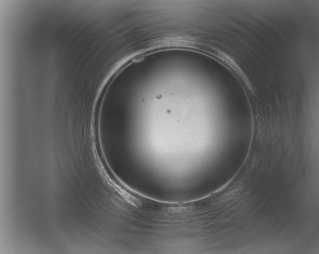 X0000056361339200509021738