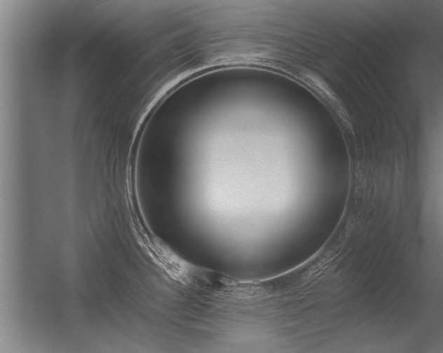 X0000056361340200509021738