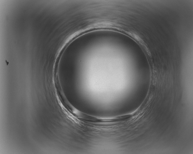 X0000056361342200509021738