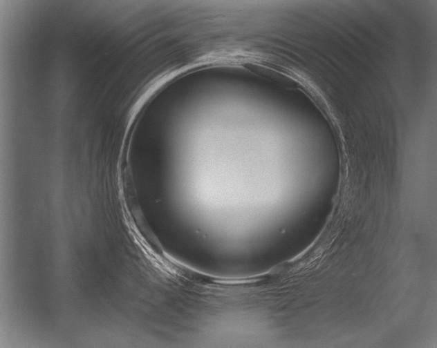 X0000056361344200509021738