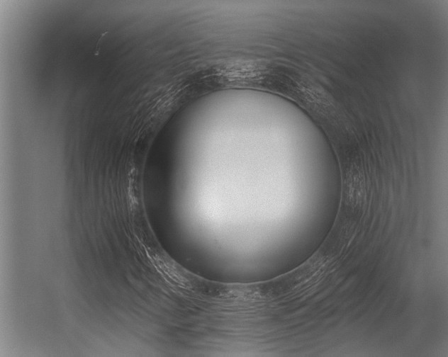 X0000056361346200509021737