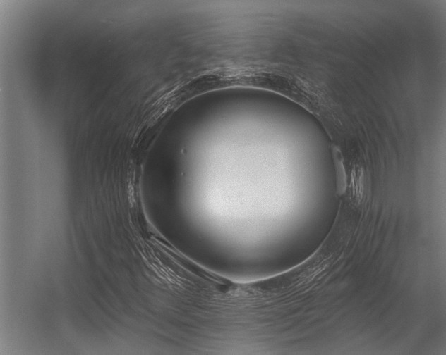 X0000056361348200509021737