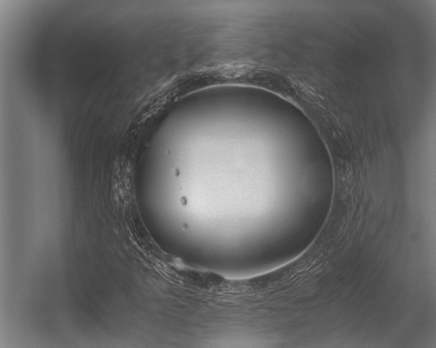 X0000056361349200509021737