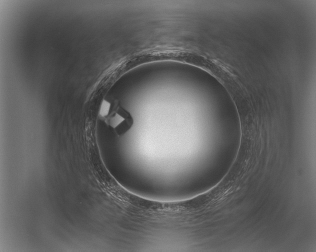 X0000056361351200509021737