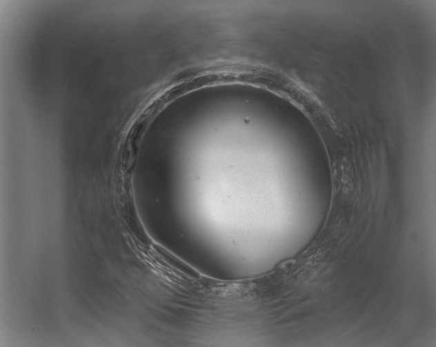 X0000056361352200509021737