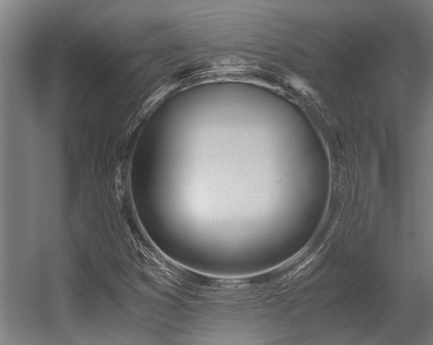 X0000056361353200509021737