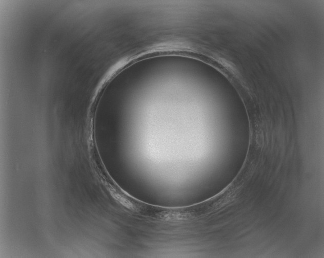 X0000056361366200509021737