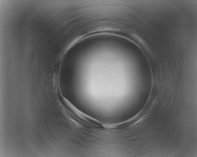 X0000056361369200509021737