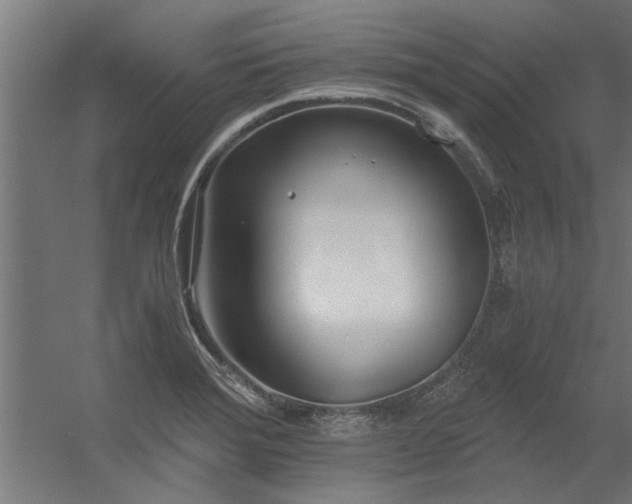 X0000056361372200509021737