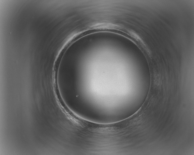 X0000056361376200509021737