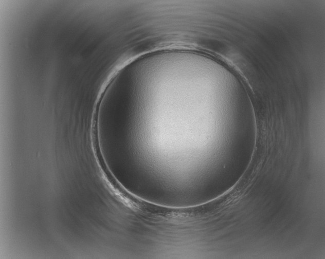 X0000056361379200509021737