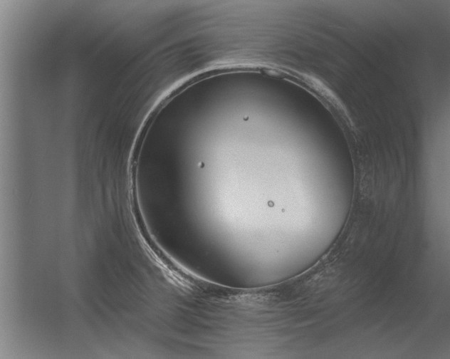 X0000056361380200509021737