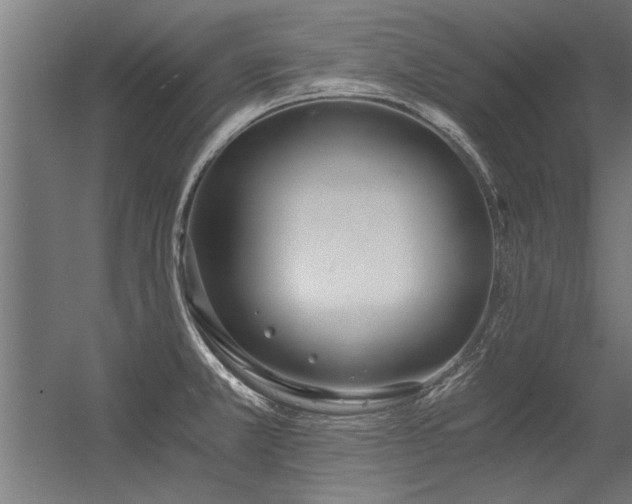 X0000056361381200509021737