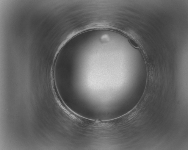 X0000056361382200509021737