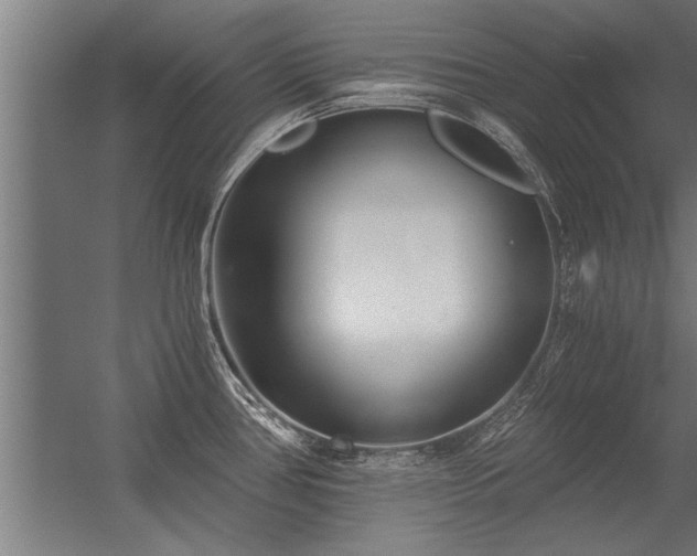 X0000056361386200509021736