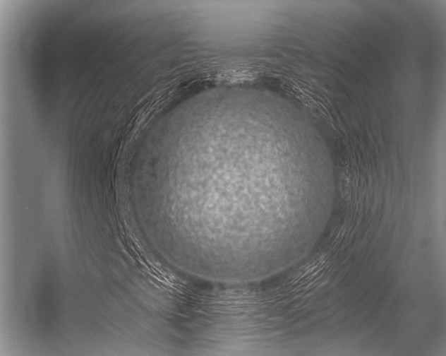 X0000056361393200509021736