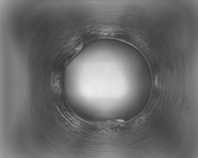 X0000056361396200509021736