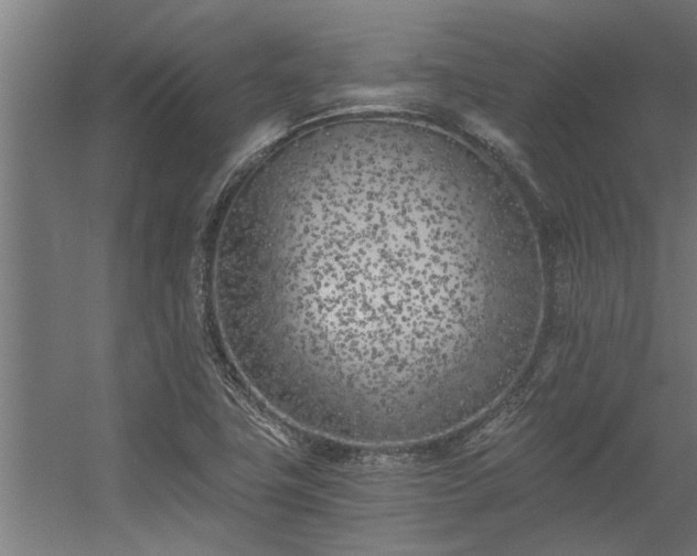 X0000056361411200509021736