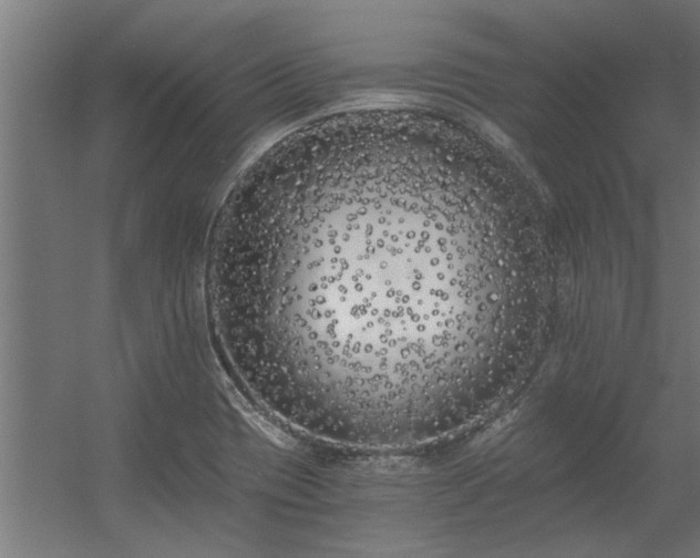 X0000056361417200509021736