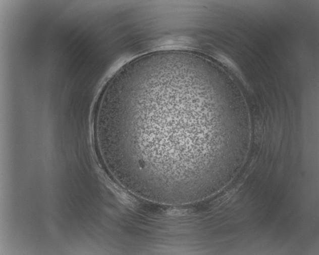 X0000056361419200509021736